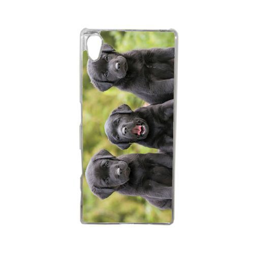 Coque chiots labrador retriver noir compatible sony xperia z5 transparent