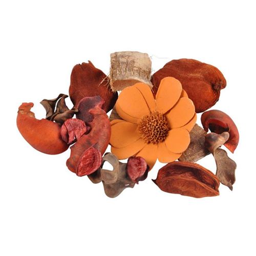 Paris Prix - Pot Pourri essentiel 110g Mangue