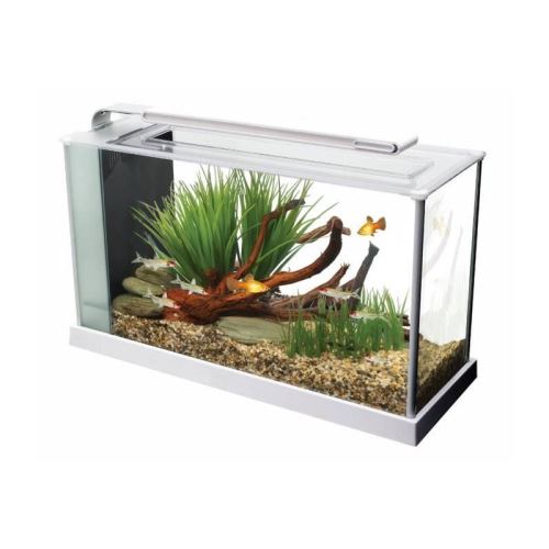 aquarium spec v 19 l blanc 43,5 x 27 x 16 cm