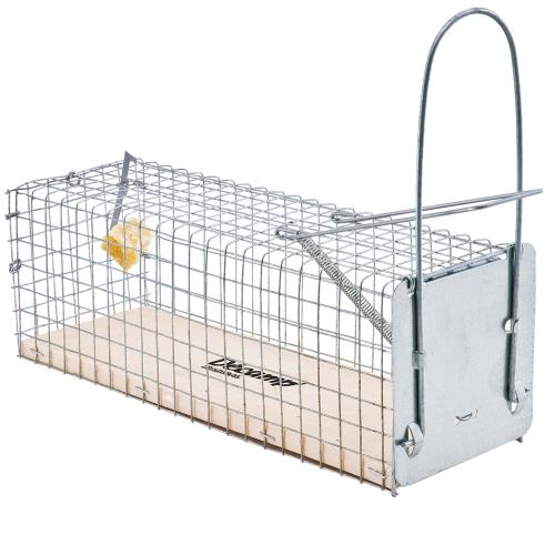 Nasse pour rats et souris