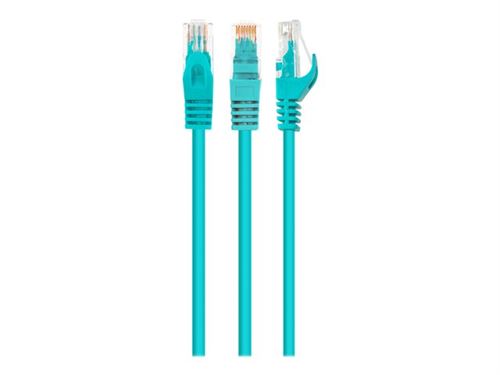Cablexpert - Cordon de raccordement - RJ-45 (M) pour RJ-45 (M) - 2 m - UTP - CAT 6 - moulé, bloqué - vert