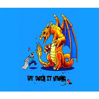 Poster Pokémon Plastifié 21 X 29,7 Cm – Déco Chambre – Occasion