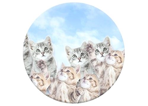 Support & Poignée Extensible PopSockets - Chatons