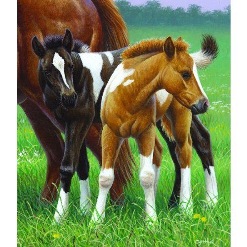 Two Foals 550pc Jigsaw Puzzle by Cynthie Fisher