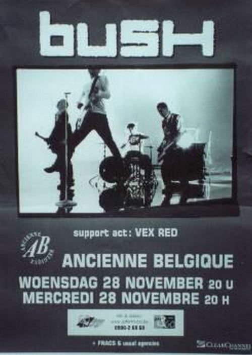 Bush - 70x100 cm - AFFICHE / POSTER
