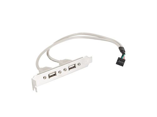 Lanberg br de 0005 s port série avec 2 x usb 2.0 a femelle à 5 broches femelle câble, 30 cm gris br-0005-s