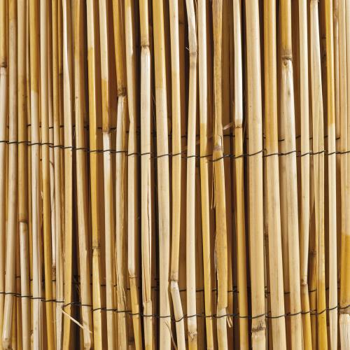 Canisse roseau naturel 1x5m