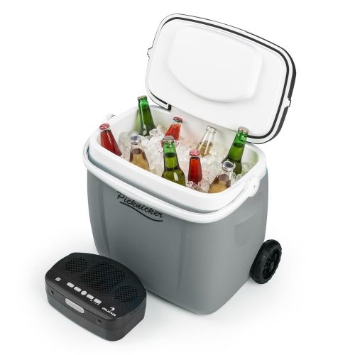 auna Picknicker Glacière 36 litres & sono portable Bluetooth USB batterie - gris