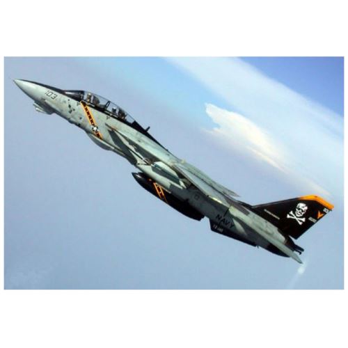Maquette Avion : F-14B Tomcat Trumpeter