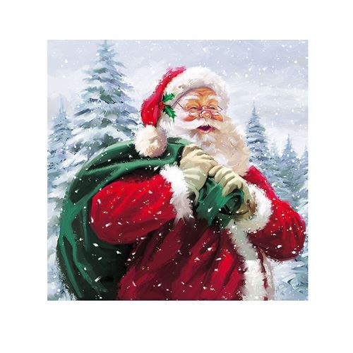 20 serviettes ho ho ho