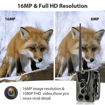 Caméra De Chasse Vision Nocturne 16MP 1080P - Détecteur De Mouvement, Marron
