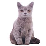 Peluche Chat Fnac