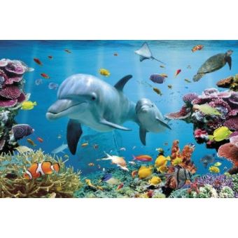Le Monde du Dauphin Poster Grand Format 91.5 x 61 cm - 1