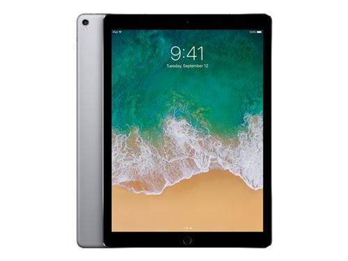 Apple iPad Pro 256 Go WiFi + 4G Gris sidéral 12.9