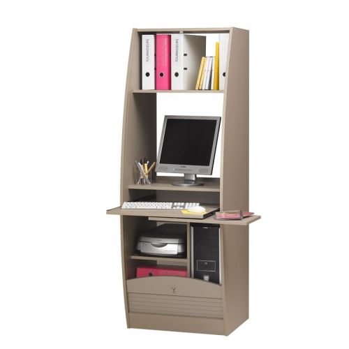 Armoire Informatique Galbee Largeur 60 Cm Taupe Achat Prix Fnac