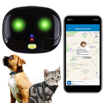 Tracker de collier gps intelligent pour chat et chien