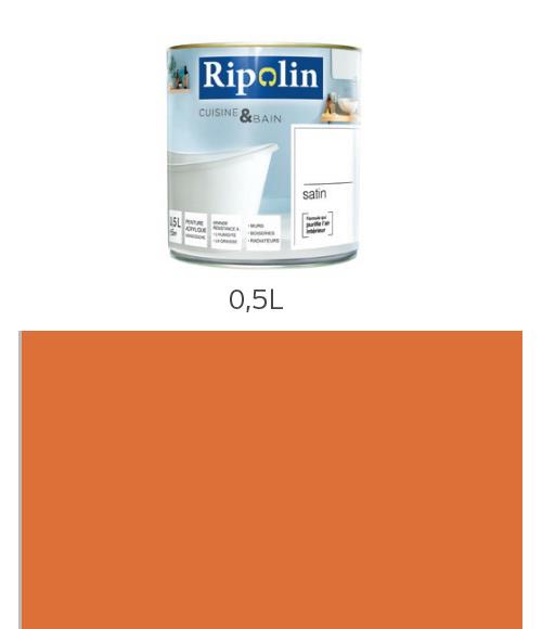 Ripolin Peinture Esprit Deco Cuisine Bain Satin Murs De Cuisine Et Salle De Bain 0 5l Orange Brule Peintures Teintures Et Solvants Achat Prix Fnac