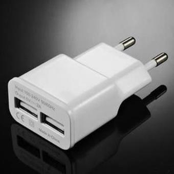 Acheter pour réparer Adaptateur chargeur prise secteur vers USB (2