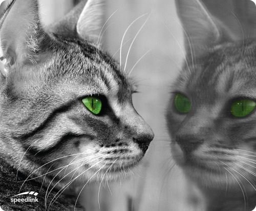 SPEEDLINK Silk-Mousepad Cat - muismat