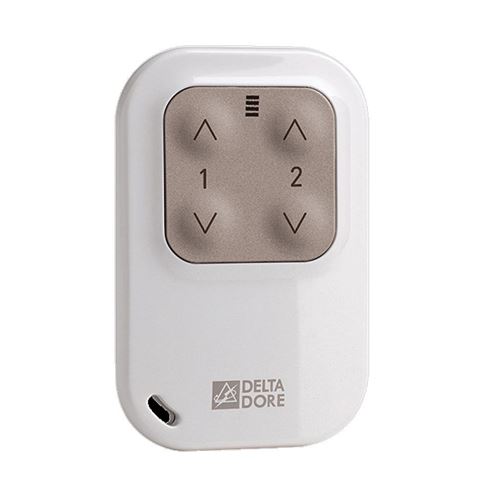 Delta Dore Télécommande Automatismes