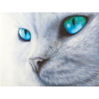 Chats Papier Peint Photo Poster Yeux Etincelants 2 Parties 240x180 Cm Autre Poster Top Prix Fnac Chats Papier Peint Photo Poster Yeux Etincelants 2 Parties 240x180 Cm Autre Poster Top Prix Fnac