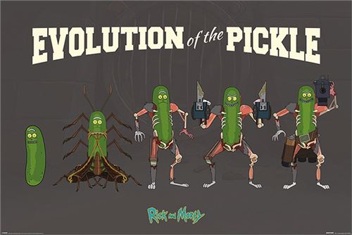 Rick And Morty Maxi Poster 61 X 91,5 Cm Evolution Of The Pickle