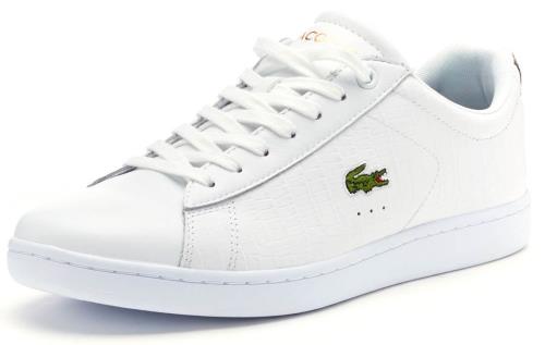 lacoste 47