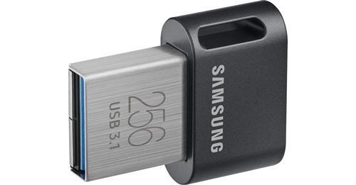Samsung MUF-256AB USB-Stick 256 GB USB Typ-A 3.2 Gen 1 (3.1 Gen 1) Grau, Silber