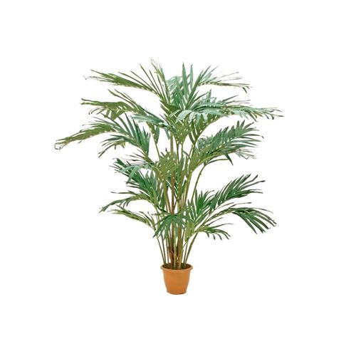 EUROPALMS Palmier dattier canari , plante artificielle, 240cm