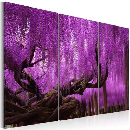 Tableau - Wisteria .Taille : 120x80