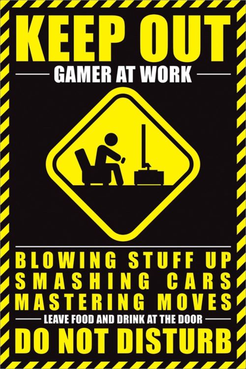 Générique Maxi Poster 61 X 91,5 Cm Gamer At Work