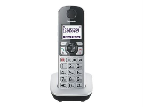 Panasonic KX-TGQ500 - Téléphone numérique sans fil - DECTGAP - argenté(e)