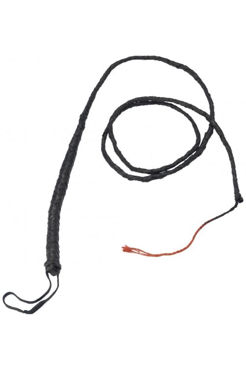 Fouet 150 Cm - Noir