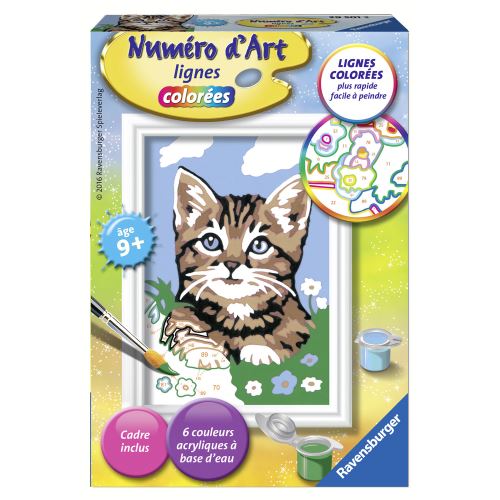 Peinture Au Numéro : Numéro D'Art Lignes Colorées : Chaton Tigré Étonné Ravensburger