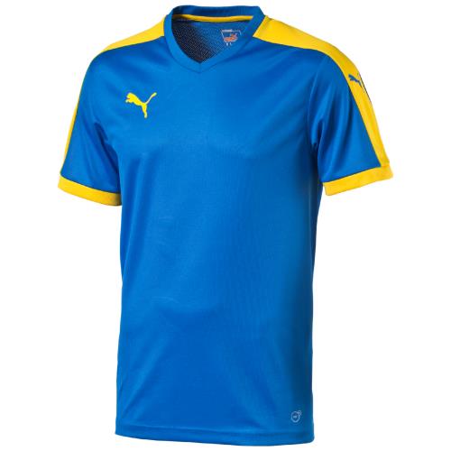 Puma - Maillot junior Puma Pitch - 8 ans - bleu royal/jaune