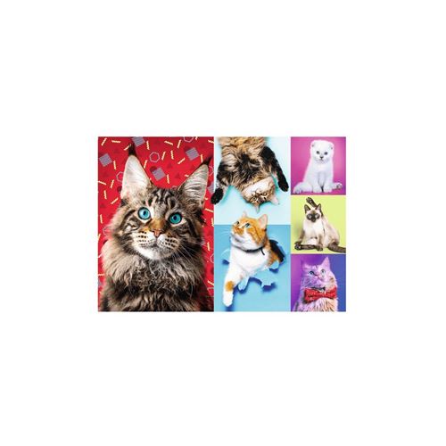 Puzzle Trefl - Chats heureux, 1000 pièces