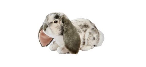Non Communiqué Multicolore Lapin Belier Couche Gris 30Cm L