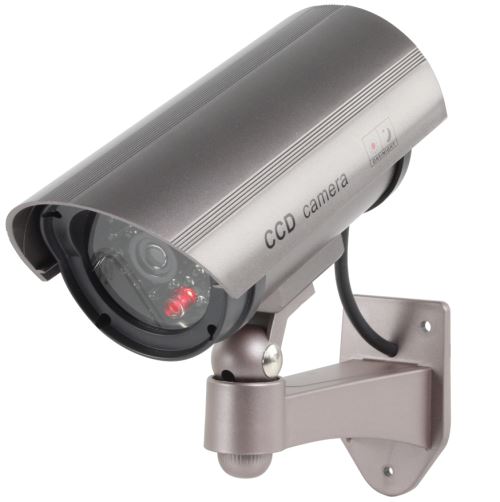 NEDIS Cam&eacute;ra Factice Pro 30 