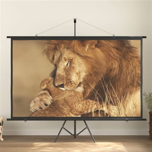 vidaXL Écran de projection 100 16:9