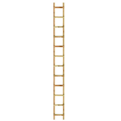 Outifrance &ndash; Echelle de couvreur en bois 2m 8 &eacute;chelons