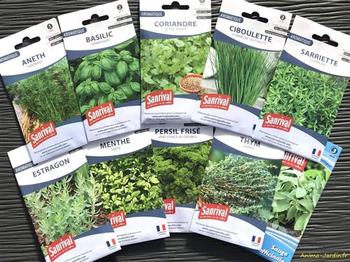 Lot de 10 sachets de graines, aromatiques, Sanrival
