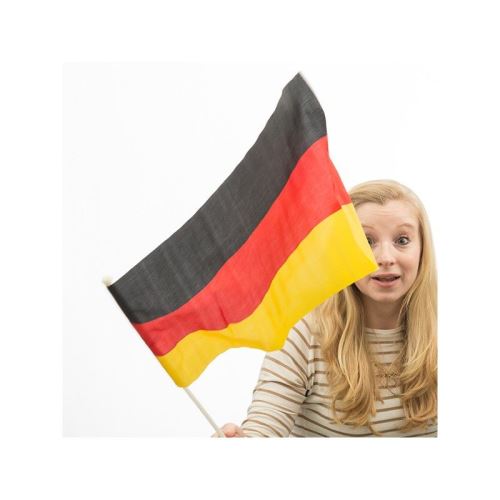 Drapeau de l'Allemagne avec Manche (46 x 30 cm)