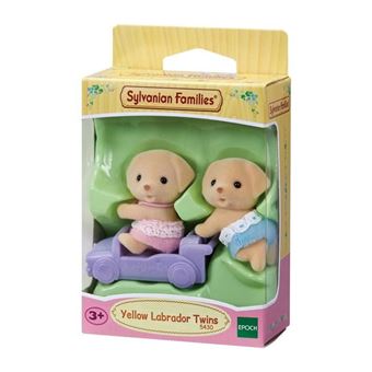 SYLV FAM LES JUMEAUX LABRADOR
