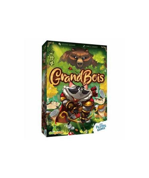 Jeu de société The flying Games Grand Bois