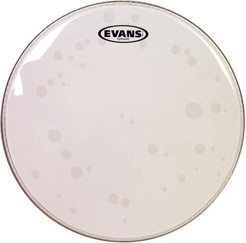 Evans 8