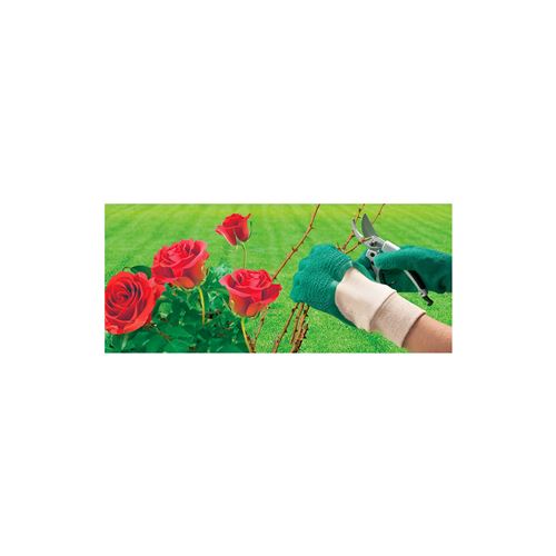 Gants de jardinage spécial rosiers ROSTAING Taille 09 
