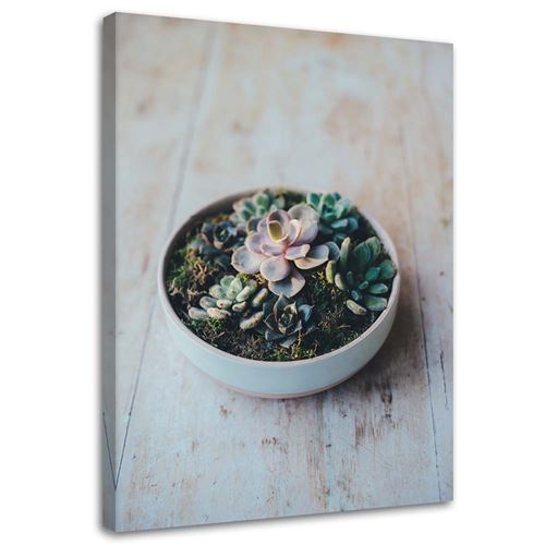Feeby Tableau sur toile Nature morte Plantes 80x120