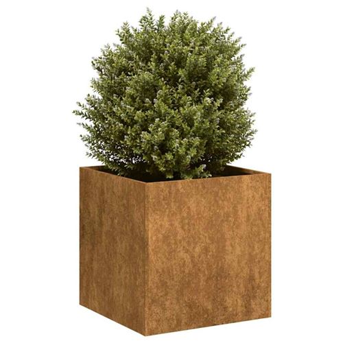 Vidaxl Jardinière En Acier Inoxydable - Rouillé - Image 3