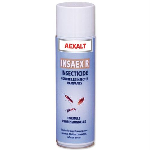 Insecticide Insaex rampants aérosol de 650ml - AEXALT - IR077