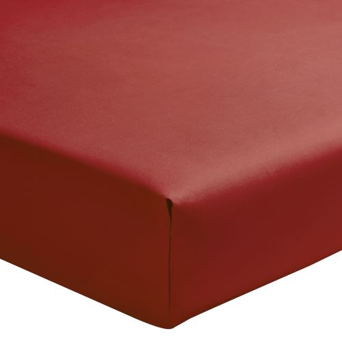 Essix - Percale coton Drap Housse Sienne - 90 x 220 cm